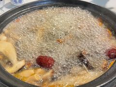 -蘑统田下·野生菌火锅