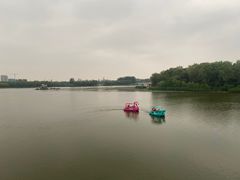 -大兴滨河森林公园