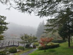 -四明山国家森林公园