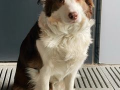 -COFFEE HOLIC(朝外SOHO店)