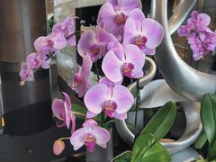 -北京北辰洲际酒店