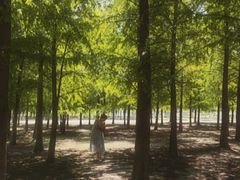 -春花秋色城市公园