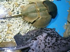 -多彩贵州城极地海洋世界