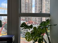 -安肯心理咨询(长宁旗舰店)
