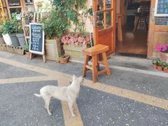 -海惠年代咖啡