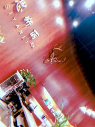 -思妍丽美发沙龙