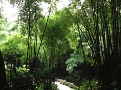 iphone_upload_pic-望江楼公园