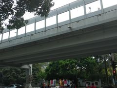 -晓港公园