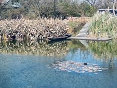 -木守西溪溪隐餐厅