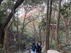 -梧桐山风景名胜区