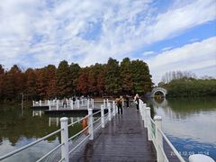 -上海海湾国家森林公园