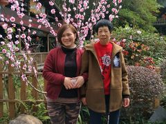 -观澜山水田园