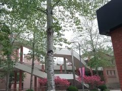 -北京化工大学(东校区)