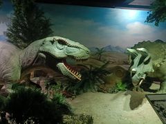 -国家自然博物馆