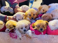 -正宁路小吃夜市