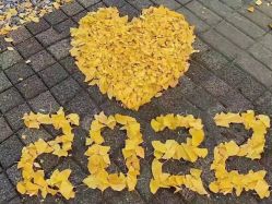 -Oasis Beauty水磨坊科技美肤中心