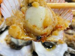 蒜蓉扇贝-桔子海鲜烧烤大排档(金沙滩店)