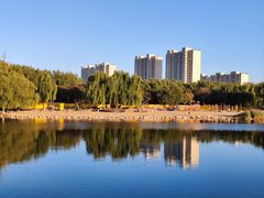 -大兴滨河森林公园