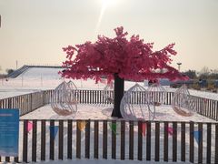 -绿野森林乐园冰雪季