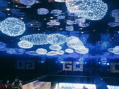 -盒马X会员店(上海森兰商都店)