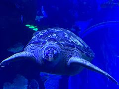 -成都浩海立方海洋公园