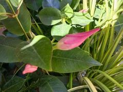 -木王宴语·野生鲜菌火锅(玉河店)