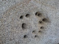 -鼓浪屿·皓月园