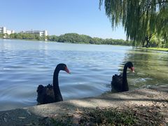 -东华大学(松江校区)