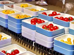 -北京海德酒店温泉