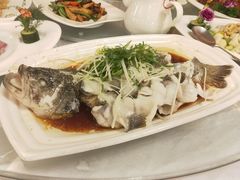 鲈鱼-朱仔记食府(江南大道店)