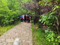 -虞山风景区