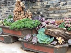 -山菌美食苑(振兴路店)
