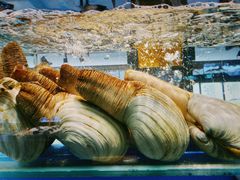 -小渔船渔家传统菜(鲅鱼圈店)
