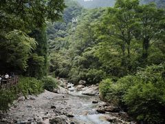 -西岭雪山大飞水景区
