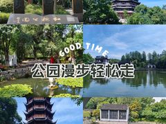 -红梅公园