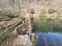 -句容茅山景区