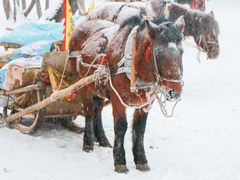 -北极村旅游风景区
