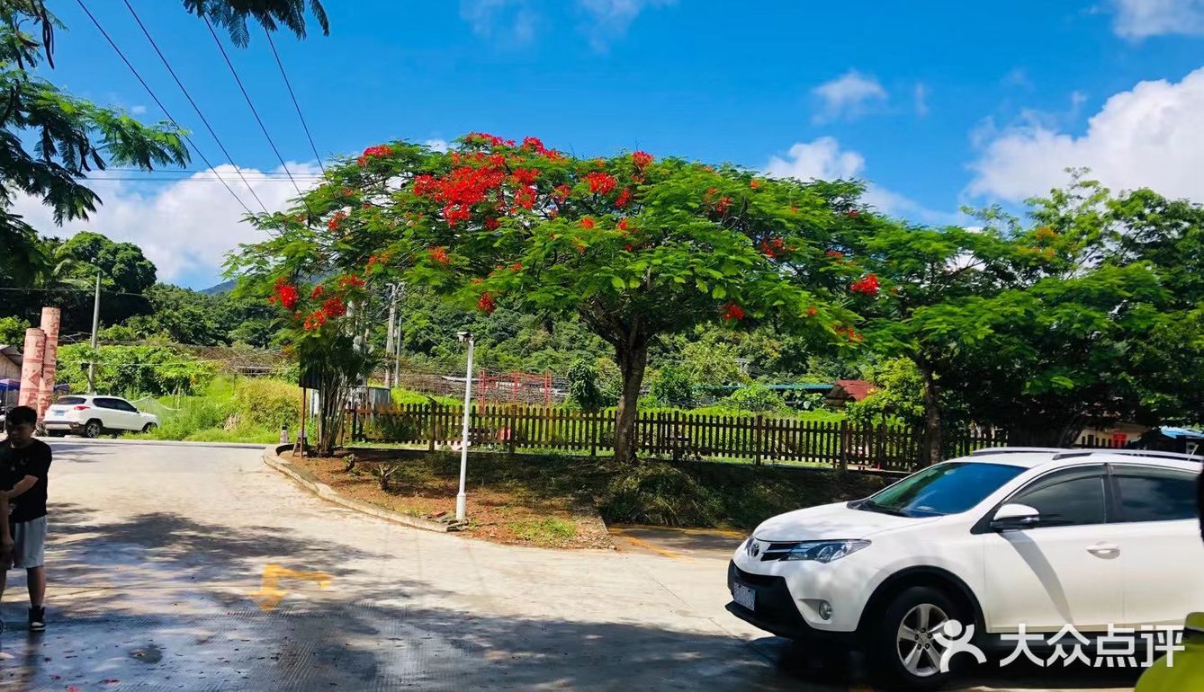 气候宜人，天热氧吧，非常合适养生和养心