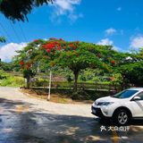 气候宜人，天热氧吧，非常合适养生和养心