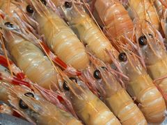 -daozao料理美术馆(东营店)