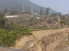 -缙云山景区