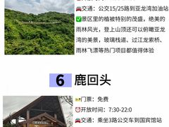 -亚龙湾热带天堂森林公园
