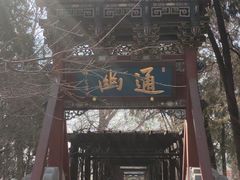 -晋祠公园
