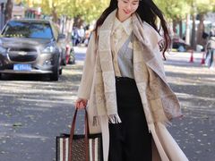-三里屯东五街银杏大道