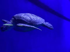 -成都浩海立方海洋公园