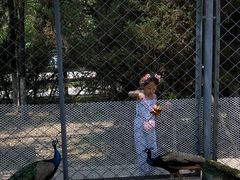 -长白岛森林公园