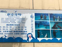 -秦皇岛乐岛海洋王国