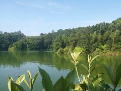 -祝幺妹火锅(裕华村总店)