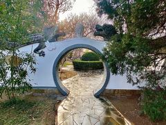 -桃花堤公园
