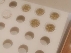 -奈雪的茶(龙湖西溪天街PRO店)